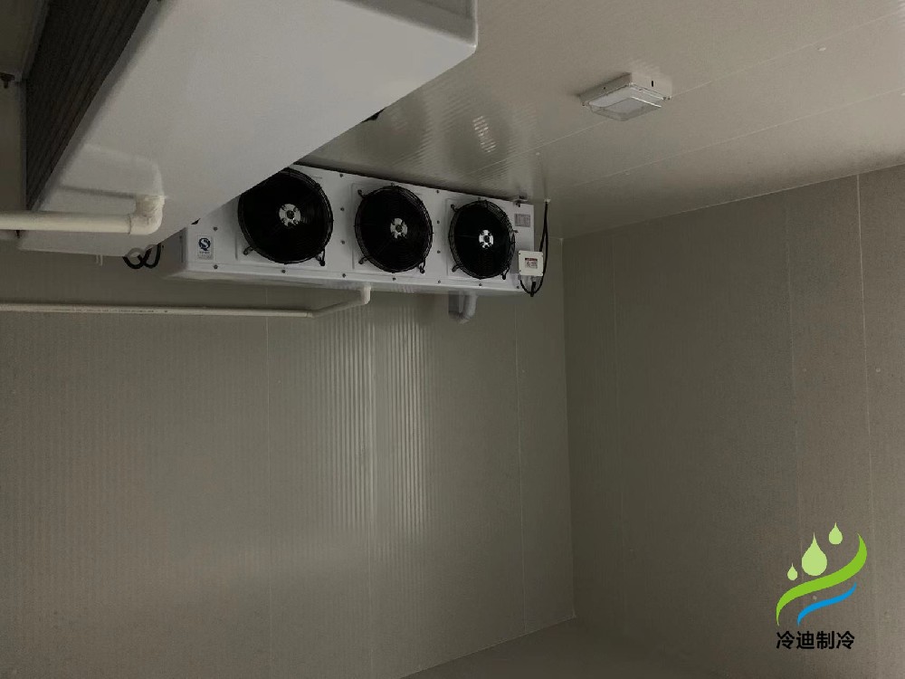 江蘇天水湖小型醫(yī)藥冷庫建造安裝工程