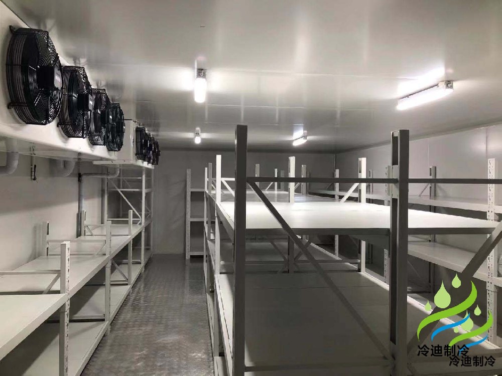 上海兆維生物大型醫(yī)藥冷凍庫及2-8℃藥品冷庫安裝建造工程