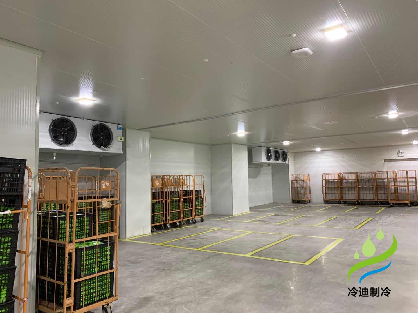 上海天天果園大型生鮮水果保鮮冷庫建造設(shè)計