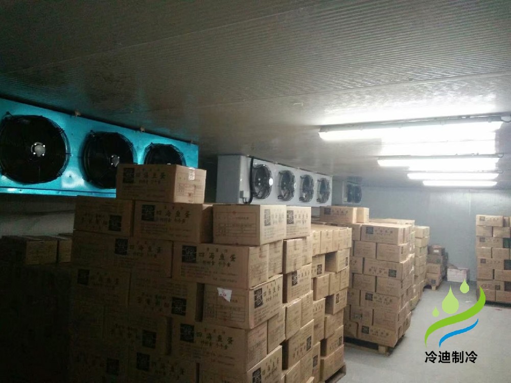 建造-18℃大型牛肉海鮮低溫冷凍庫(kù)安裝特點(diǎn)有哪些?