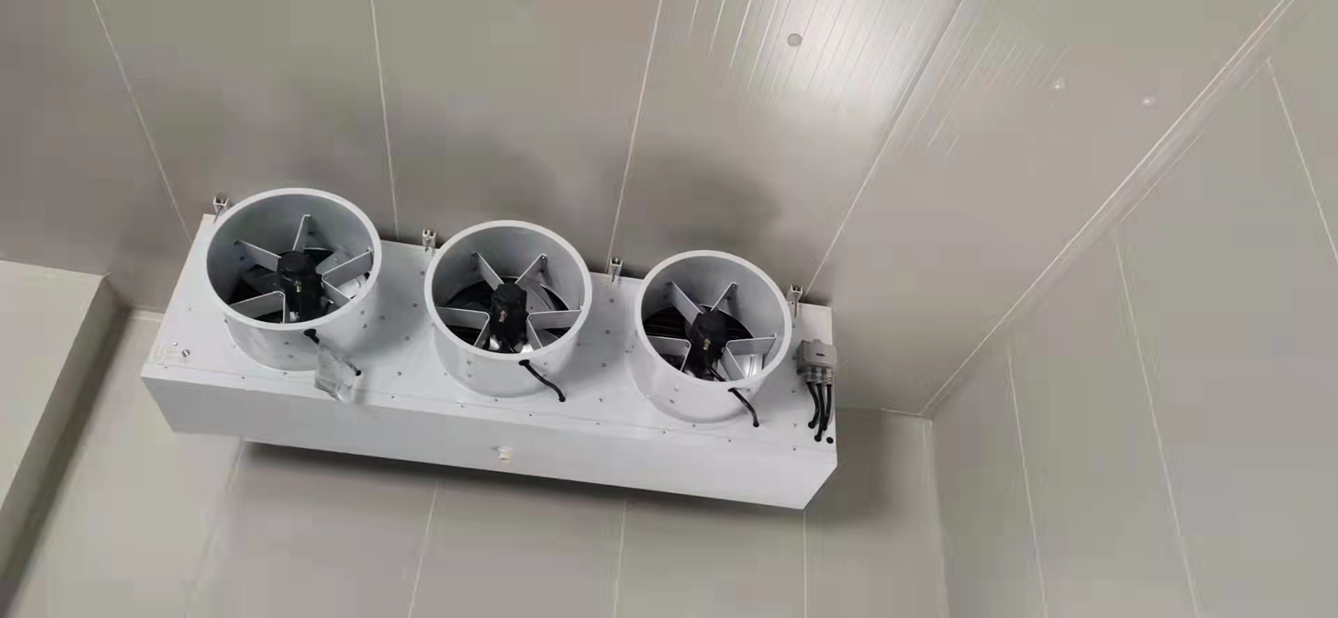 上海金山撫佳化工原料防爆冷庫安裝工程 上海金山撫佳化工原料防爆冷庫安裝工程