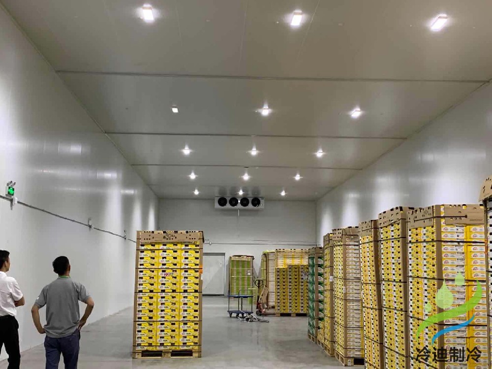 1702625486908616.jpg 1702625486908616.jpg