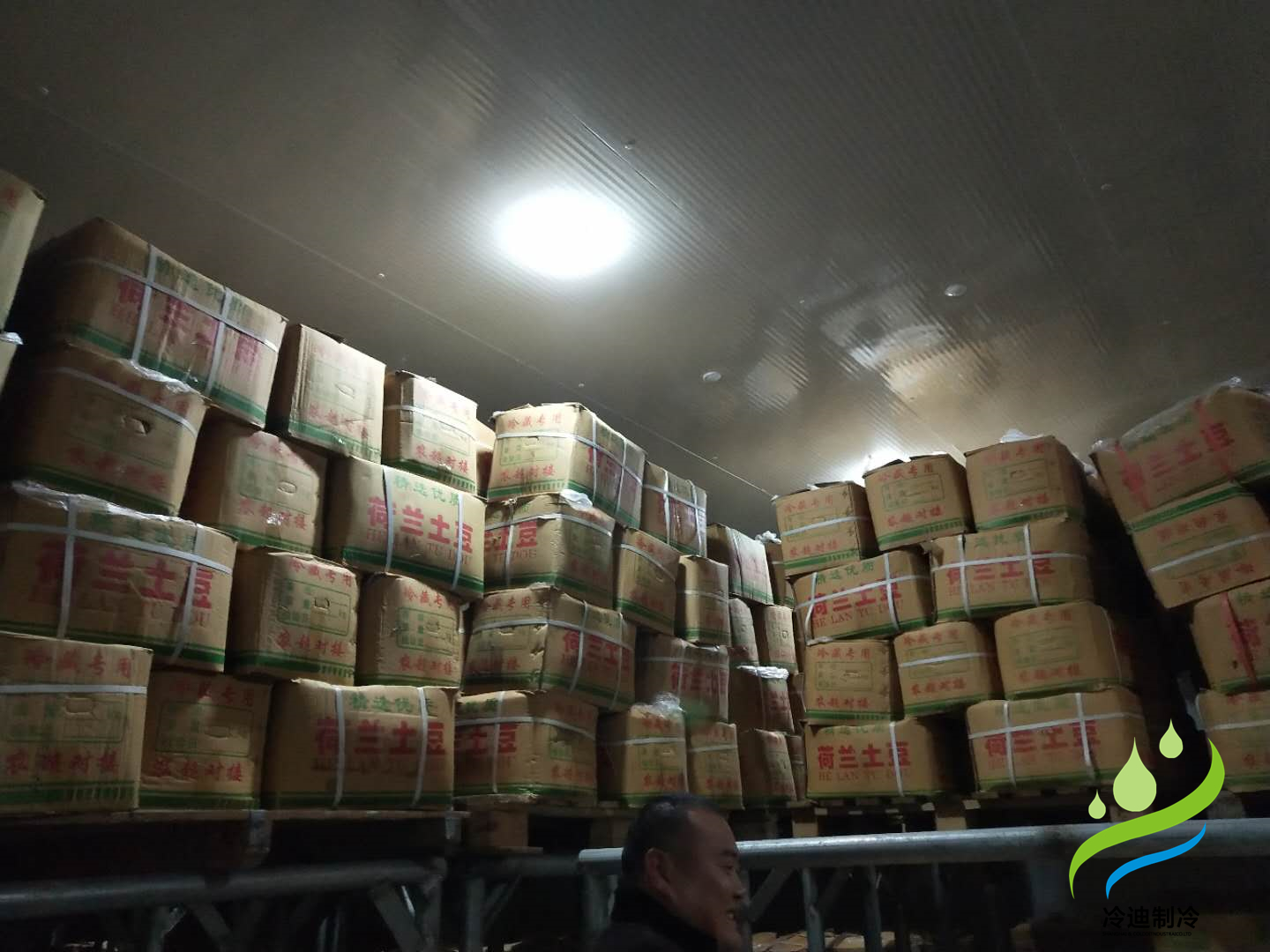 土豆保鮮冷庫.jpg