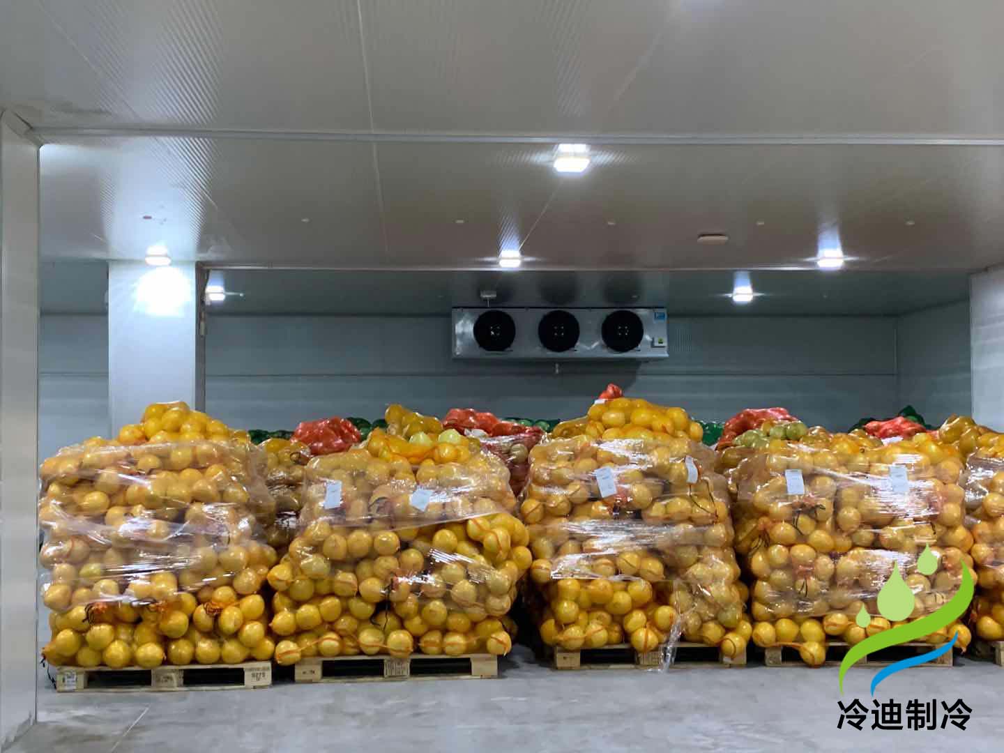 柑橘保鮮冷庫