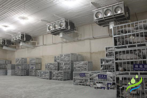 海鮮金槍魚超低溫冷庫(kù)