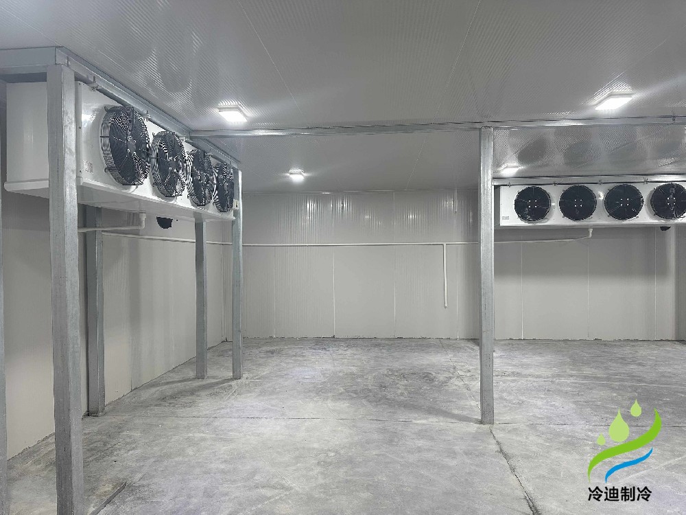 上海200立方醫(yī)藥冷庫(kù)建造工程案例