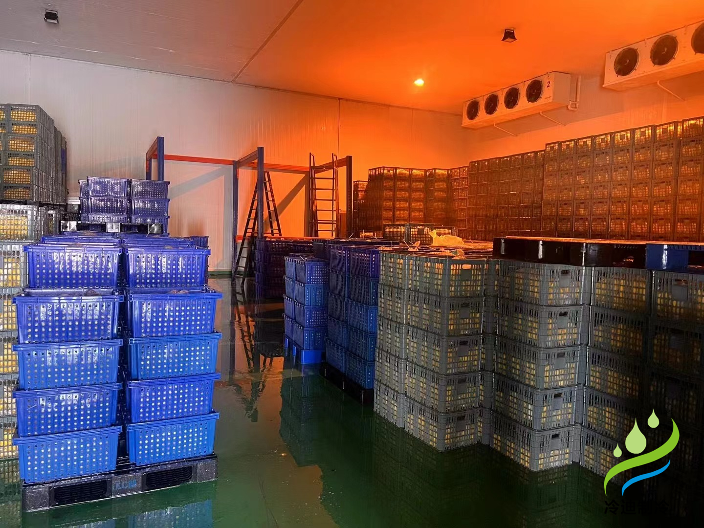 200平方冷庫造價表