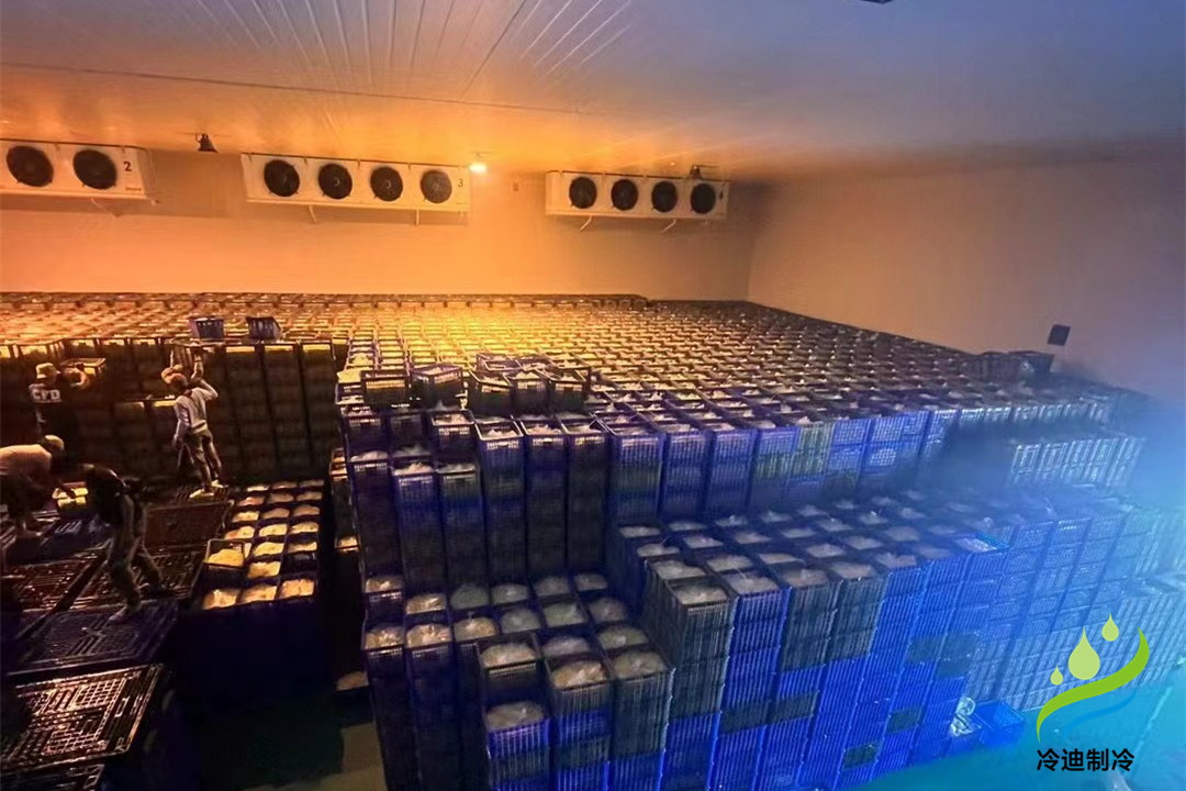 200平方冷庫造價表