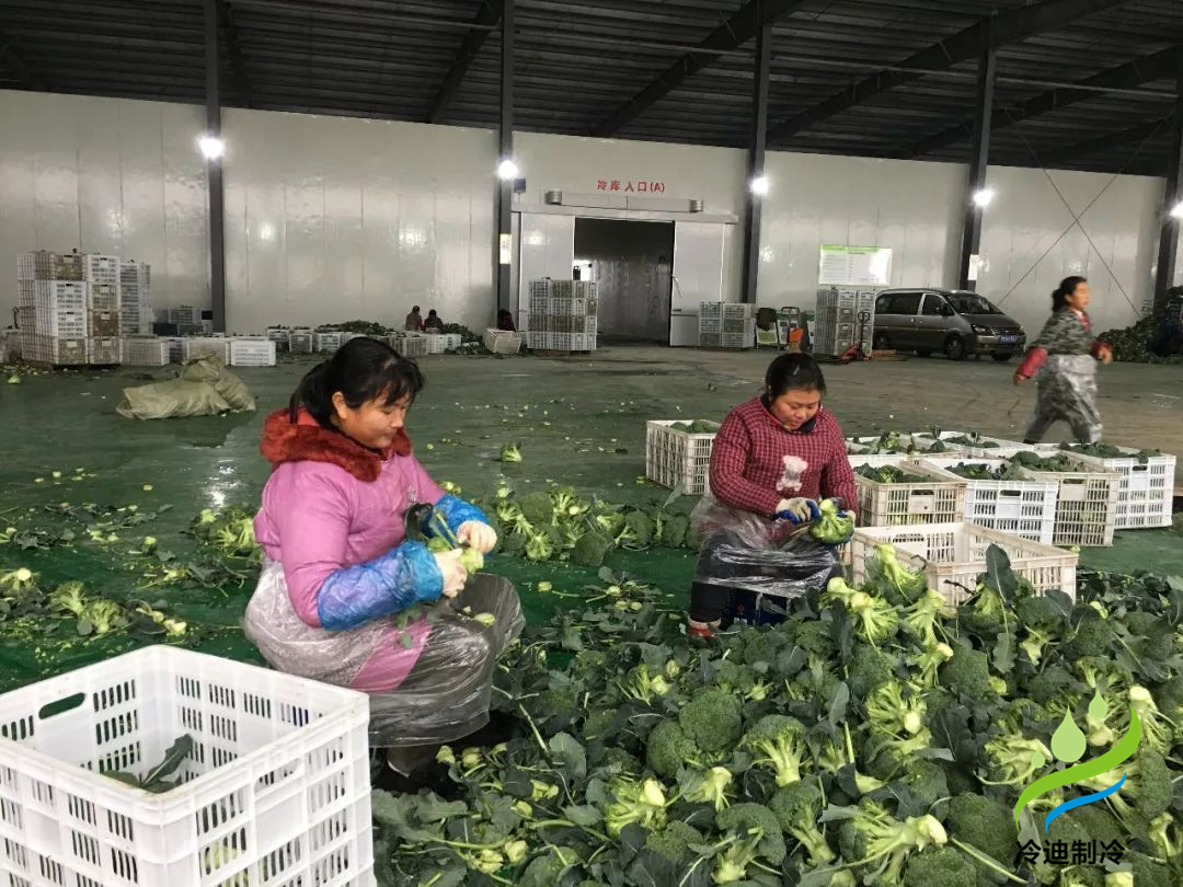 3000果蔬保鮮冷庫(kù)造價(jià)