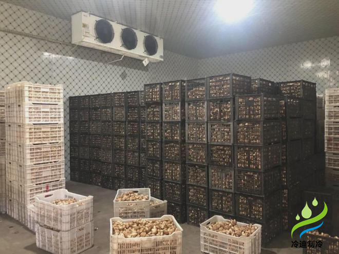 蘑菇保鮮冷庫