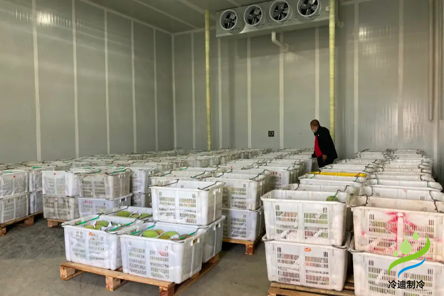 廣西芒果氣調(diào)冷庫(kù)
