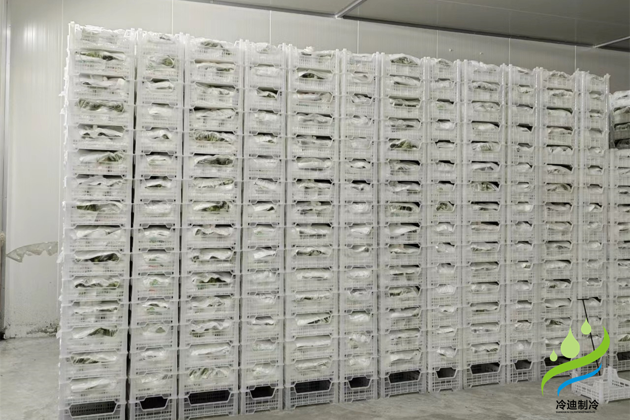 葡萄氣調(diào)保鮮冷庫