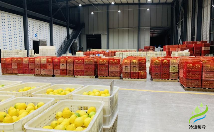 大型水果保鮮冷庫.jpg