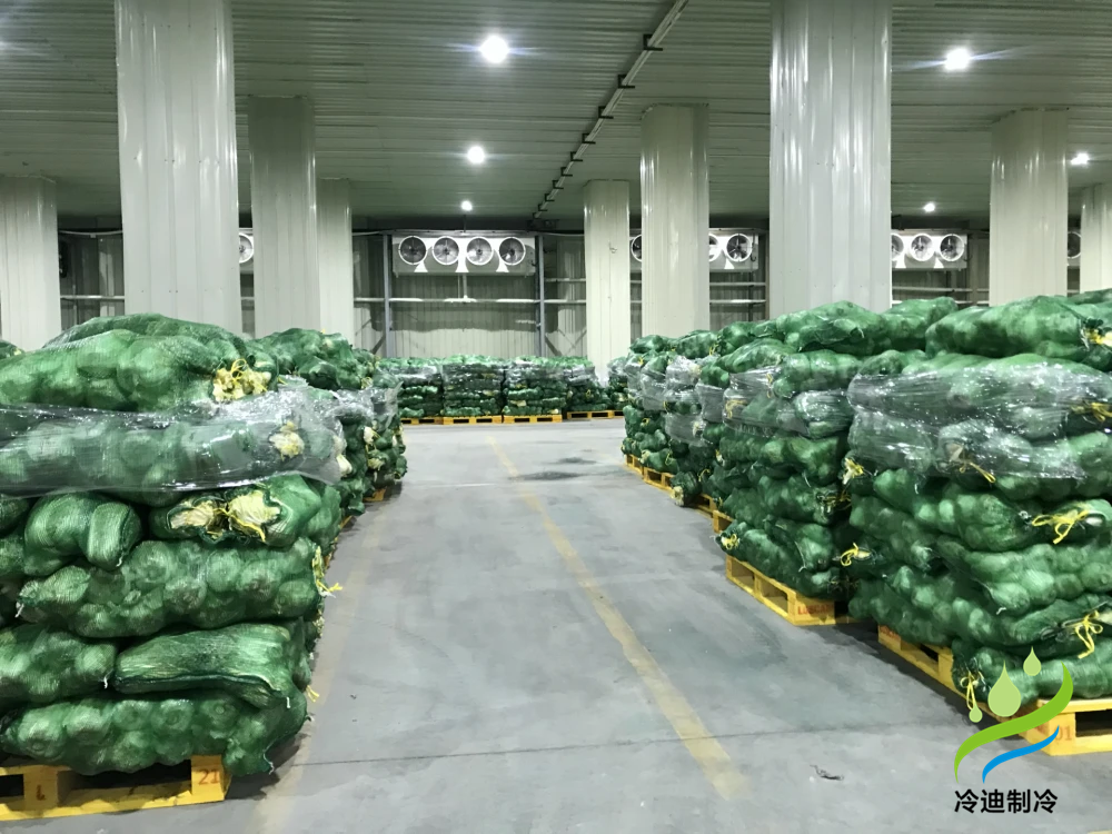 蔬菜果蔬保鮮冷庫(kù) (2).png