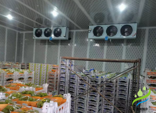 氣調(diào)保鮮冷庫