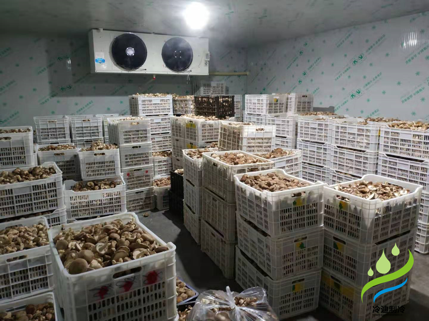 菌菇香菇蔬菜冷庫.jpg