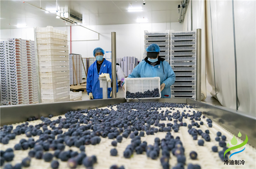 水果藍莓保鮮冷庫1.jpg