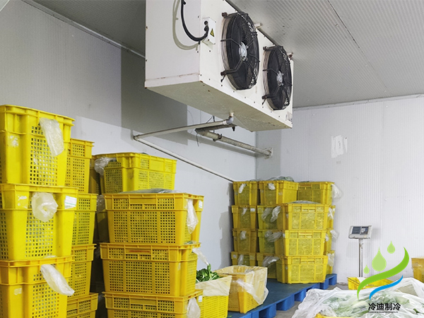 蔬菜保鮮冷庫1.jpg