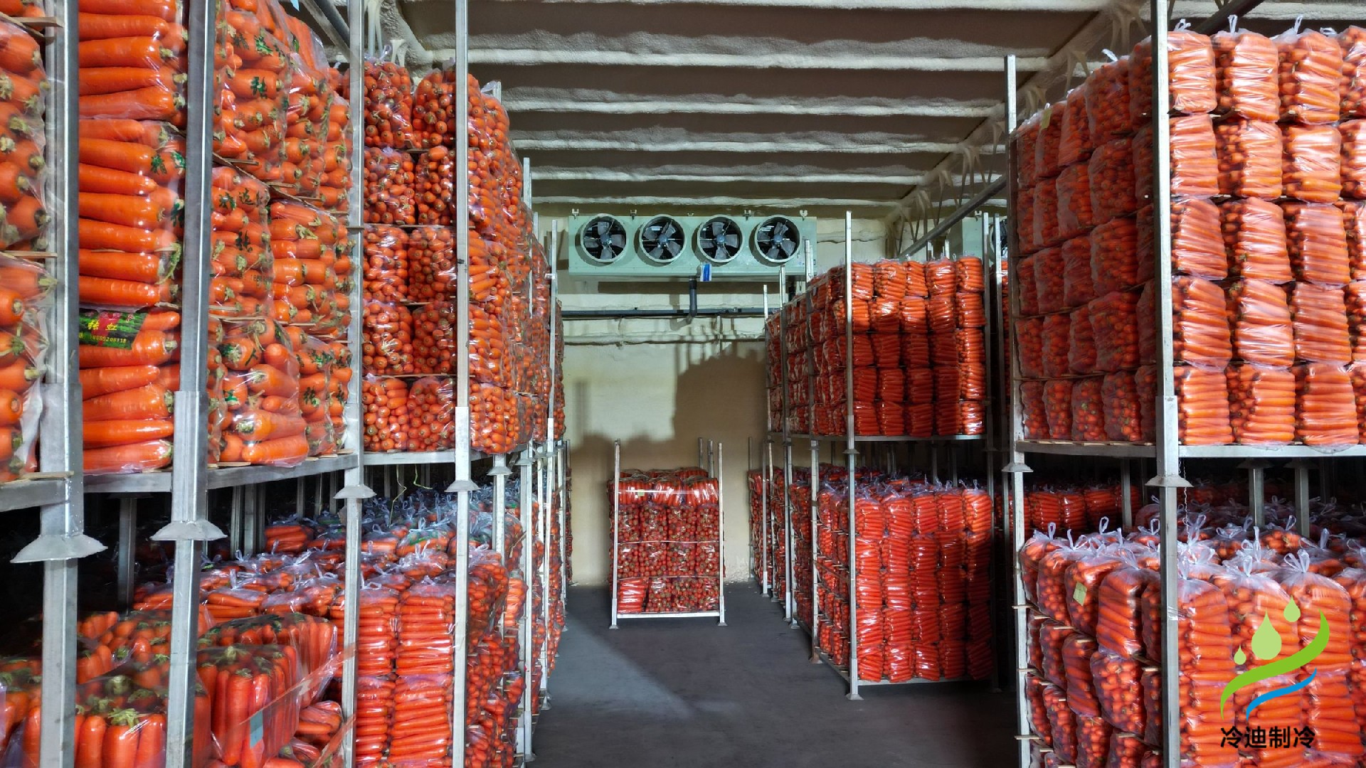 蔬菜胡蘿卜保鮮冷庫(kù)