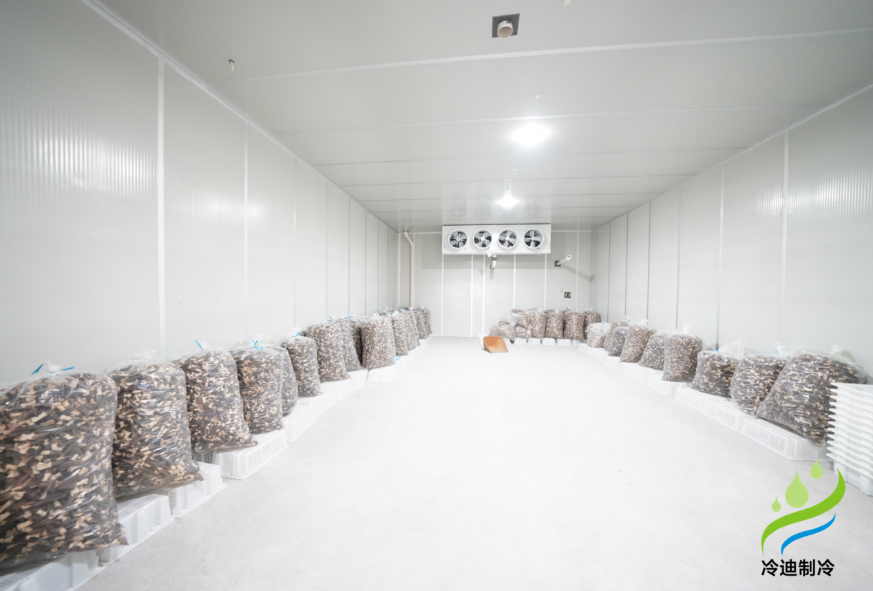 菌菇氣調(diào)保鮮冷庫(kù)羊肚菌