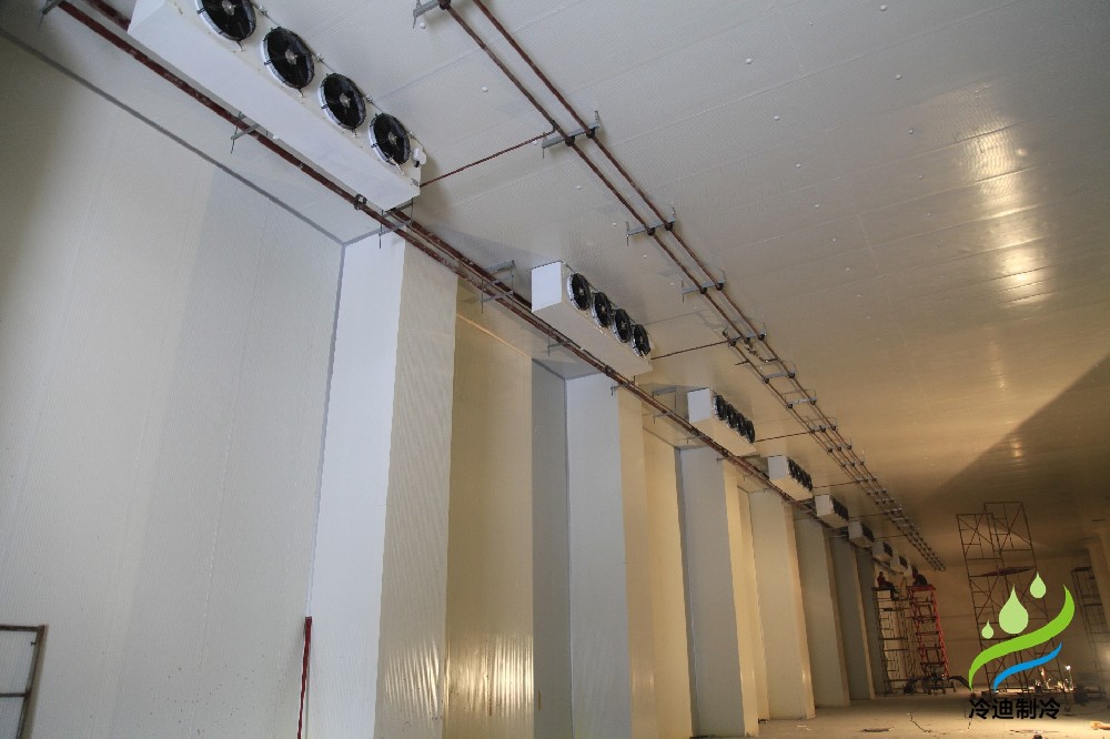 建造1000平米冷庫(kù)預(yù)算需要多少？